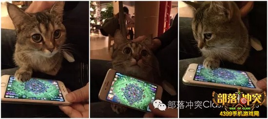 部落冲突趣闻