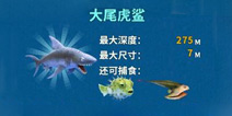 饥饿鲨：进化虎鲨任务翻译和奖励一览