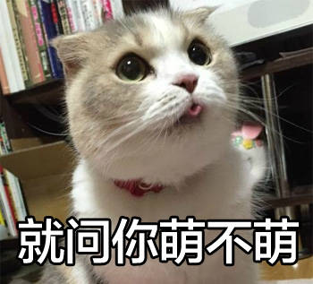 就问你萌不萌