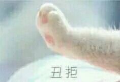 丑拒