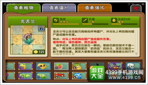 龙舌兰