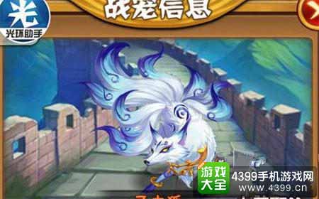 宠物