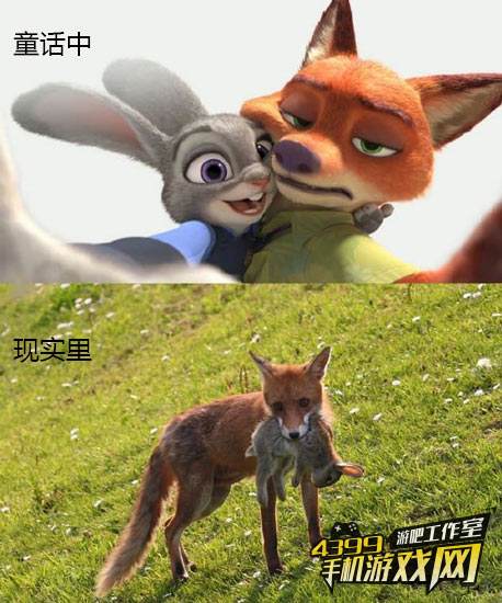 童话里都是骗人的