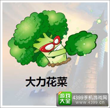 大力花菜