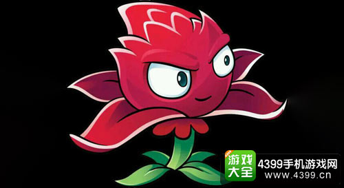 红针花