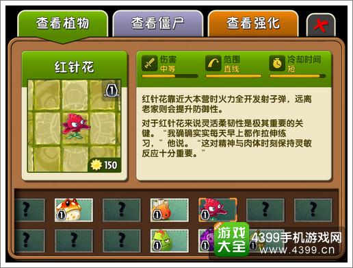 红针花
