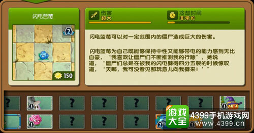 闪电蓝莓