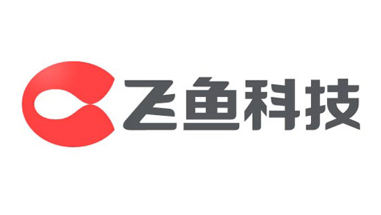 飞鱼科技2015年财报