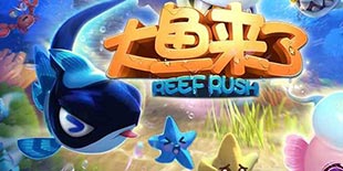 网易新作《大鱼来了》:弱肉强食中一起爬上食物链的顶端吧
