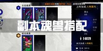 魂之幻影副本魂兽怎么搭配 魂兽选择攻略