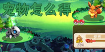 口袋妖怪单机版宠物怎么得 橙色宠物怎么得