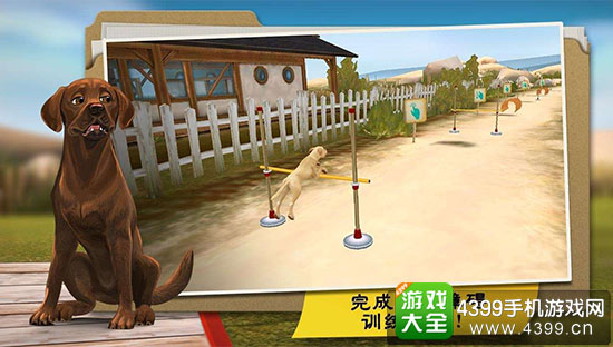 完成训练