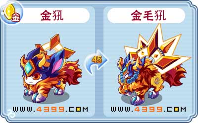 卡布西游金毛犼刷什么 练级