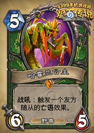 炉石传说哈霍兰公主