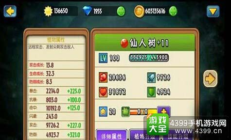 仙人树