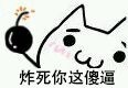 炸死你这傻逼