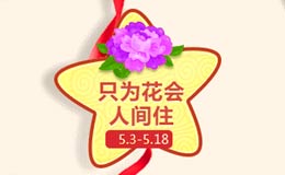 梦幻西游手游花满人间怎么玩 只为花会人间住攻略