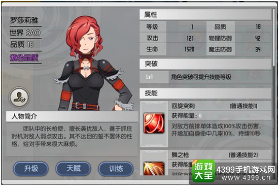 刀剑神域黑衣剑士SAO罗莎莉雅