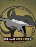 火影忍者手游通灵兽鲛鲨介绍 通灵兽鲛鲨技能详解