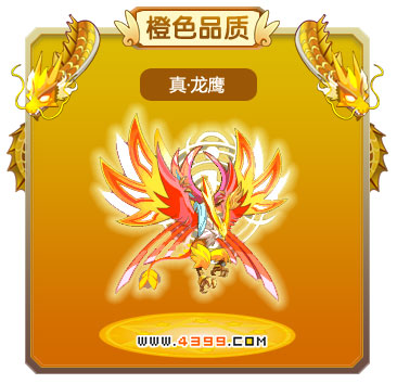 龙斗士真·龙鹰