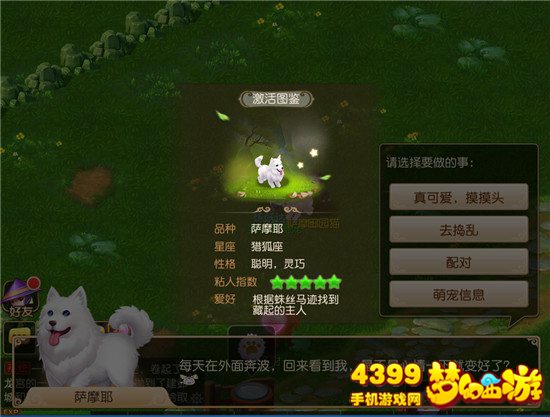梦幻西游手游牧场动物图鉴