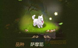 梦幻西游手游牧场怎么玩 牧场养殖赚钱攻略