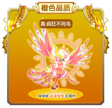 龙斗士真·疯狂不死鸟