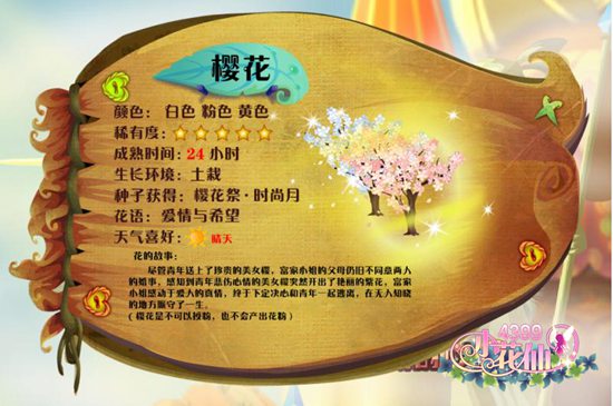 小花仙樱花