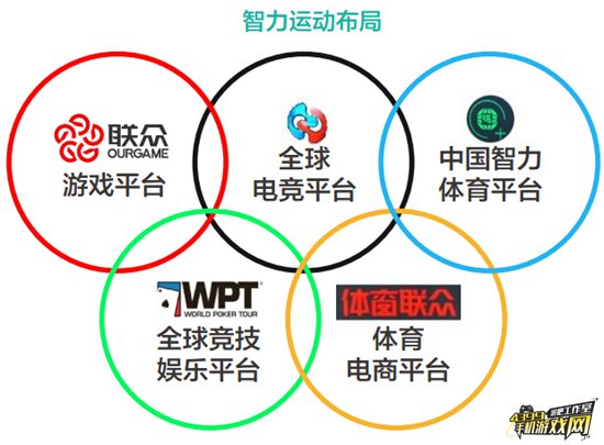 部分公司智力运动布局方向