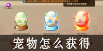弹弹岛2宠物怎么获得 宠物获得方法一览