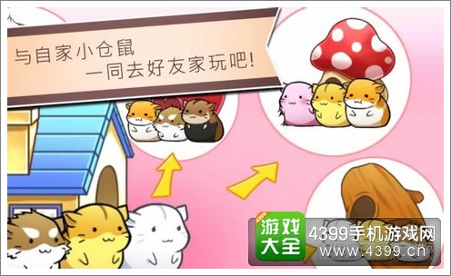 仓鼠的日常