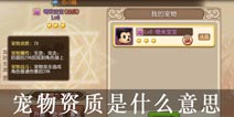 弹弹岛2宠物资质是什么意思 宠物资质属性解析
