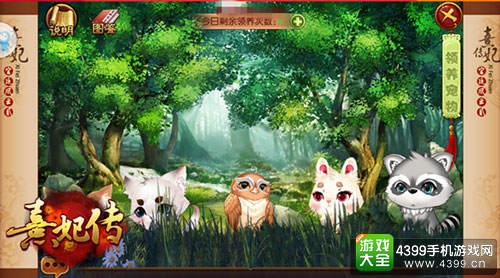 可爱萌宠陪你过暑假《熹妃传》新版萌宠强力助阵