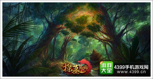 探墓风云丛林疑云