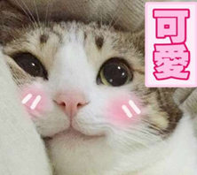 表情