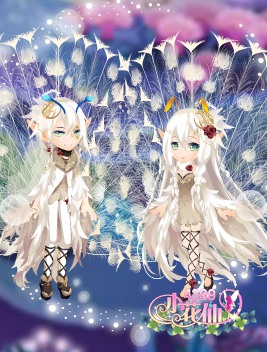 小花仙雀屏画羽套装