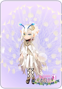 小花仙雀屏画羽套装