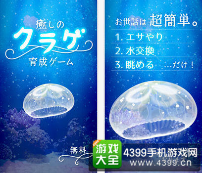 《治愈的水母养成》