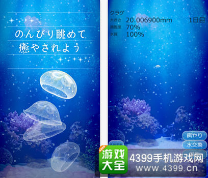 《治愈的水母养成》