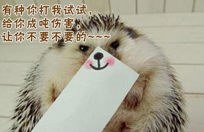 奥奇传说7月22日精灵盘点