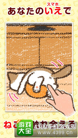 《家养猫咪》