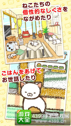 《家养猫咪》