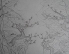 造梦西游4手绘桃花谷