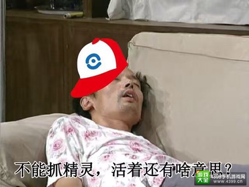 不能抓精灵，活着还有啥意思
