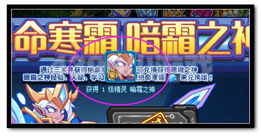 热血精灵派暗霜之神