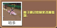 疯狂动物园鳄鱼怎么抓