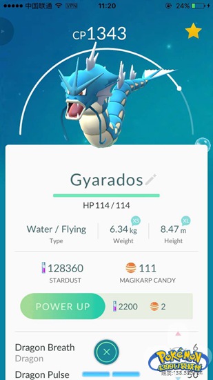 PokemonGO最常见的准神级精灵——暴鲤龙