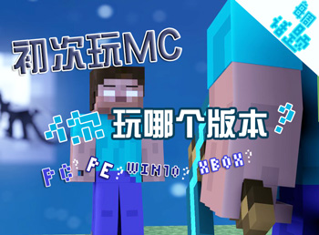 第一次玩MC你选择了哪个版本 我的世界每周话题第19波