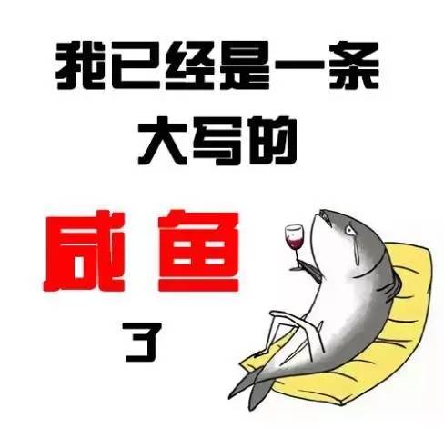一条咸鱼