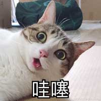 哇塞